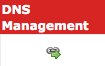 DNS Manager